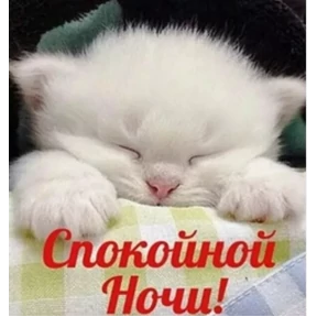 Стикер 16 из набора Мишка и Лисенок