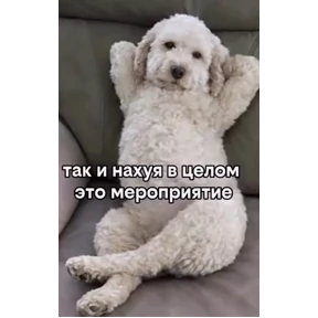 Стикер 87 из набора На случае важных переговоров