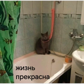 Стикер 21 из набора Утинаязёпка