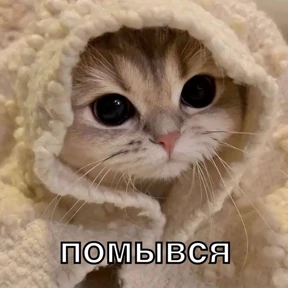 Стикер 96 из набора Смешнявки