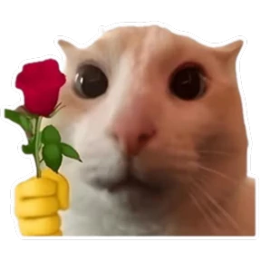 Стикер 35 из набора Goofy cat