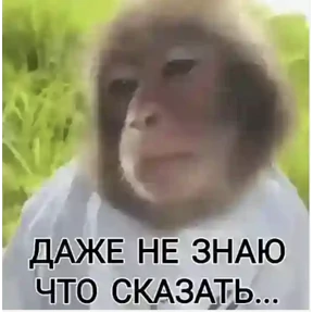 Стикер 76 из набора Мои стикеры 2