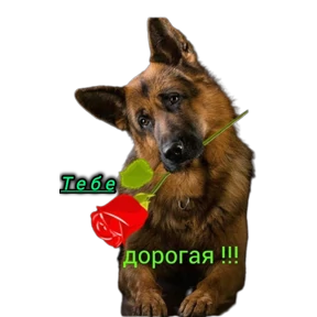 Стикер 38 из набора Мило