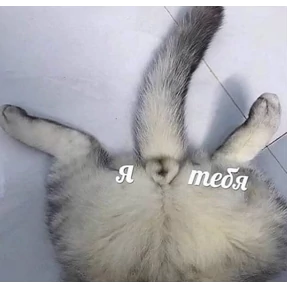 Мем — стикер для MAX