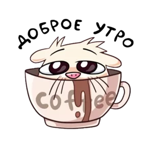 Фото — 17 августа 2026 г. в 05:04:00.397