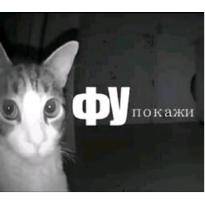 Стикер 30 из набора Котечки