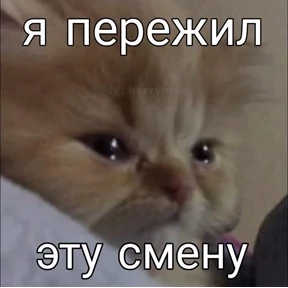 Мем — стикер для MAX