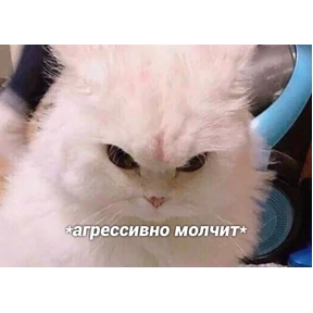 Мем — стикер для MAX