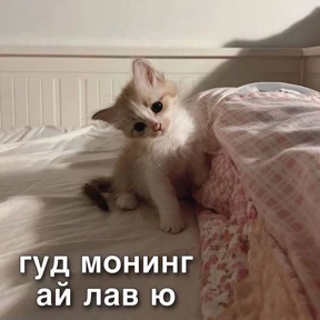 Стикер 19 из набора Доброва утра