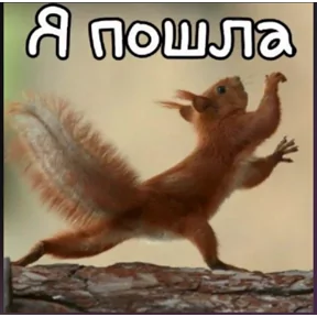 Стикер