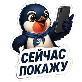 Фото — 26 августа 2026 г. в 08:21:57.106