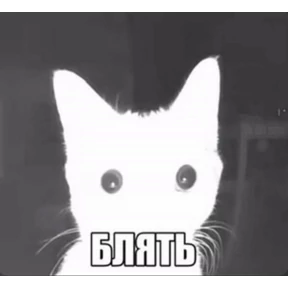 Стикер 5 из набора meme: набор 2