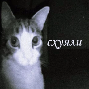 Стикер 8 из набора meme: набор 2