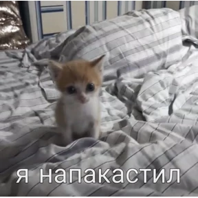 Стикер 33 из набора Сашин эксклюзивный