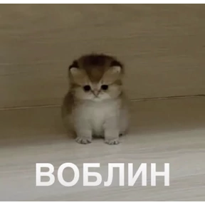 Стикер 36 из набора Сашин эксклюзивный