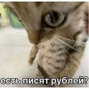 Стикер 37 из набора Сашин эксклюзивный