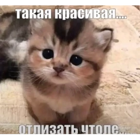Мем — стикер для MAX