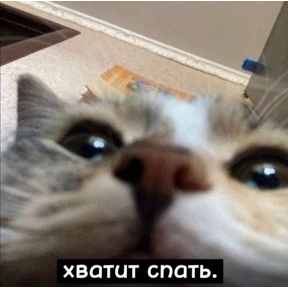 Мем — стикер для MAX