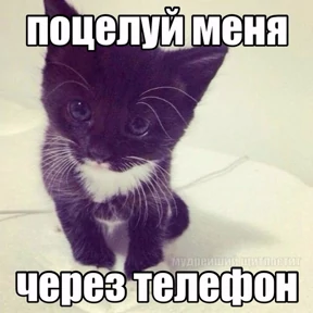 Мем — стикер для MAX