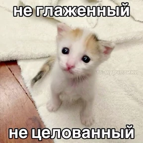 Мем — стикер для MAX