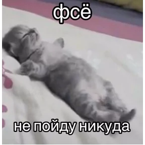 Стикер