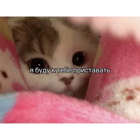 Мем — стикер для MAX