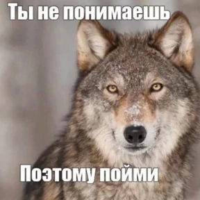 Стикер 21 из набора На случай вп 2.0