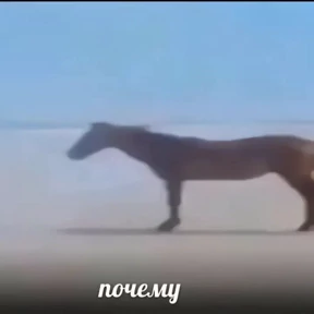 Стикер 69 из набора набор сашки прониной