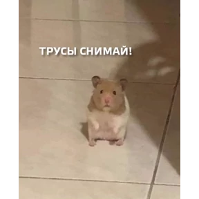 Стикер 36 из набора Титовка стикерс 2.0