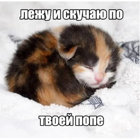 Мем — стикер для MAX