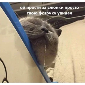 Мем — стикер для MAX