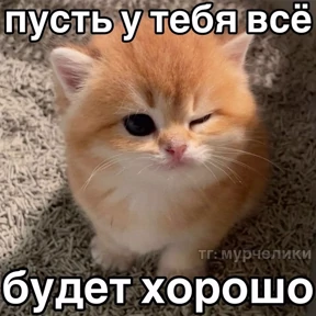 Мем — стикер для MAX