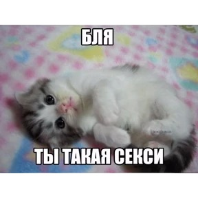 Мем — стикер для MAX