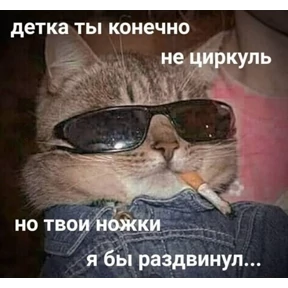 Мем — стикер для MAX