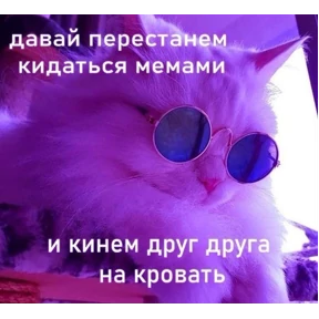 Мем — стикер для MAX