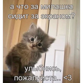 Мем — стикер для MAX