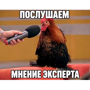 Стикер 49 из набора Мемесы для мемс