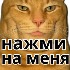 Фото — 2 августа 2026 г. в 09:49:01.276