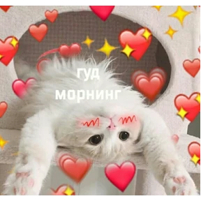 Стикер 20 из набора Доброва утра