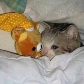 Стикер