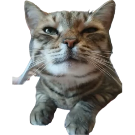 Стикер