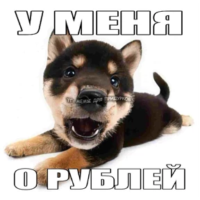 супер ультра мем стики 67 хайп — стикер для MAX