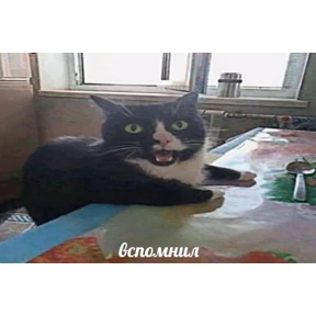 супер ультра мем стики 67 хайп — стикер для MAX