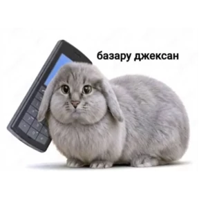Стикер 80 из набора Mega ultra