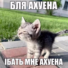 Стикер 84 из набора Mega ultra