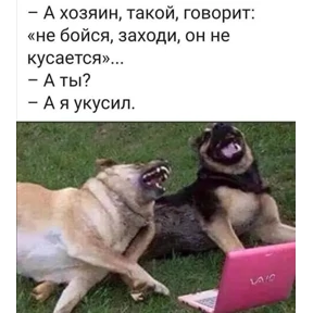 Стикер 31 из набора Ответочка