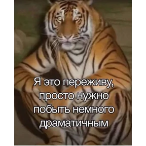 Стикер 36 из набора Ответочка