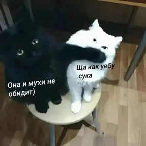 Стикер 35 из набора Ответочка