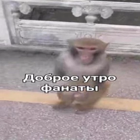Стикер 19 из набора Жиза