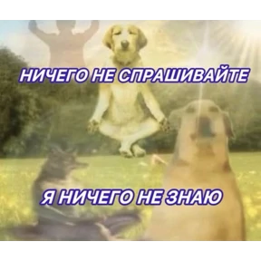 Стикер 23 из набора Жиза
